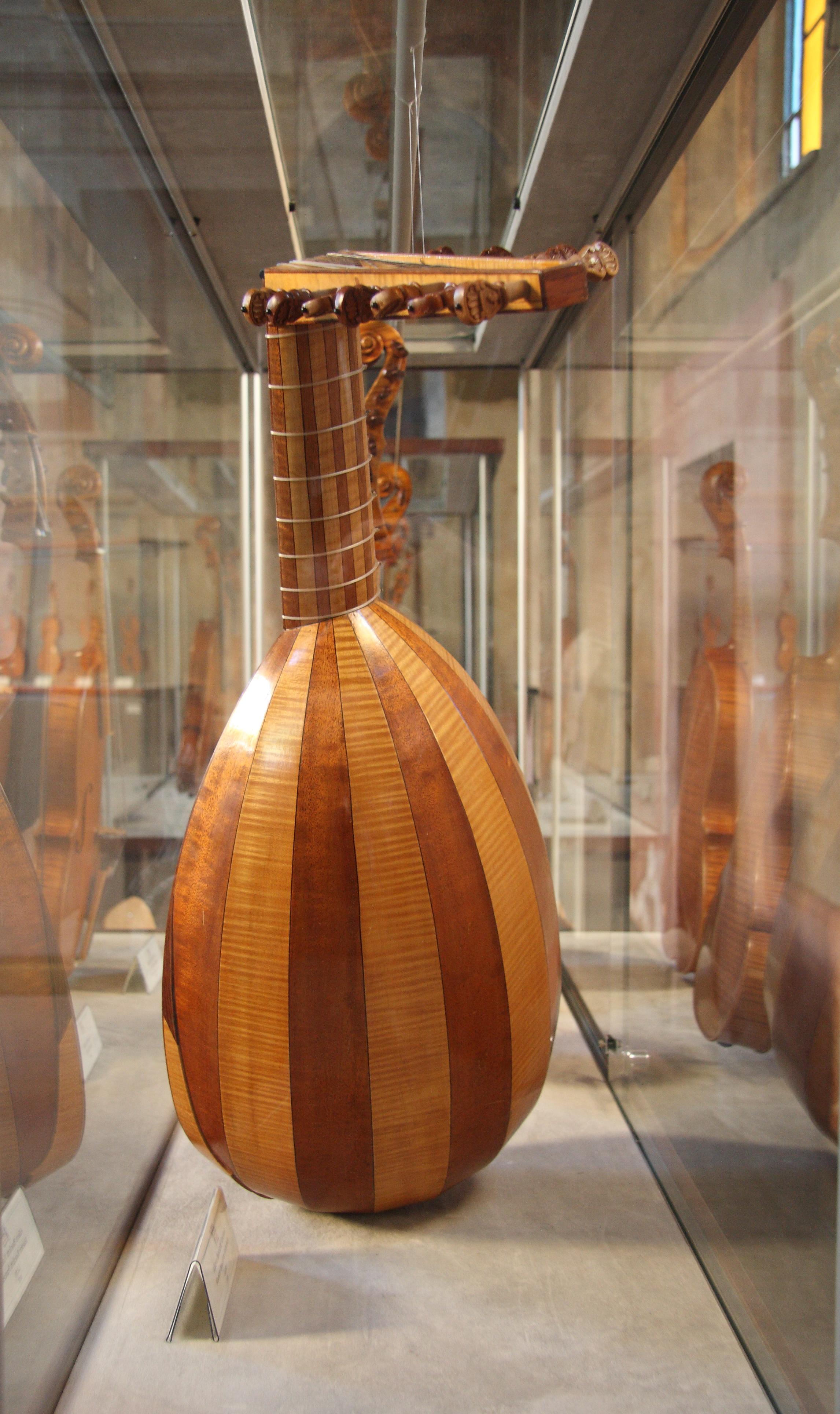 Lute in museum display