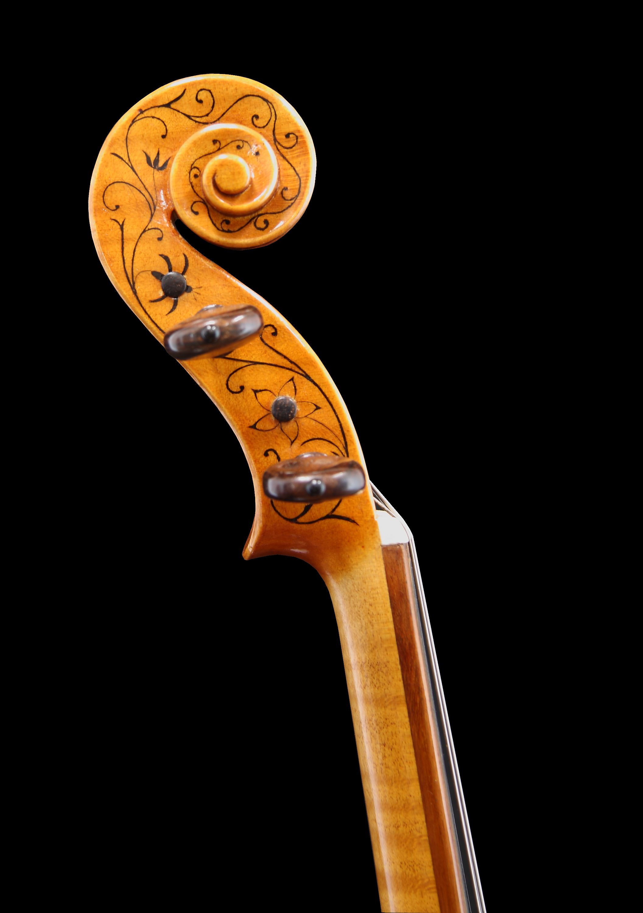 Decorated violin scroll on black background